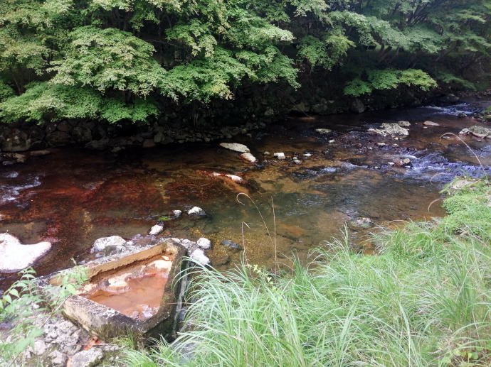 �U�V����@�͌��̖쓒�y�����s���z