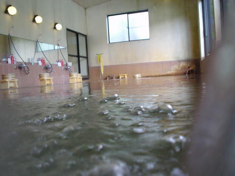 �V����@�V���򗷊فy�����s���z