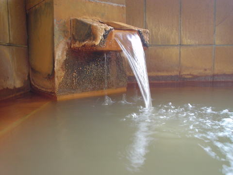 �V����@�V���򗷊فy�����s���z