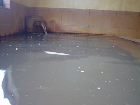 �V����@�V���򗷊فy�����s���z