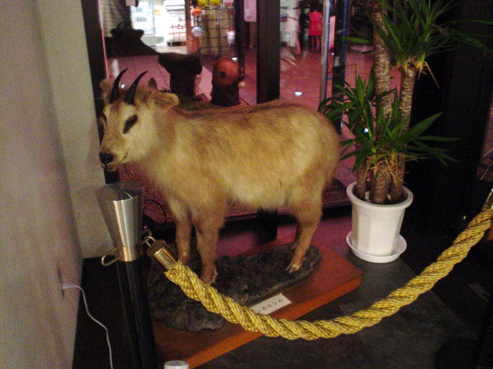 ��͌�����@�����������y�����s���z