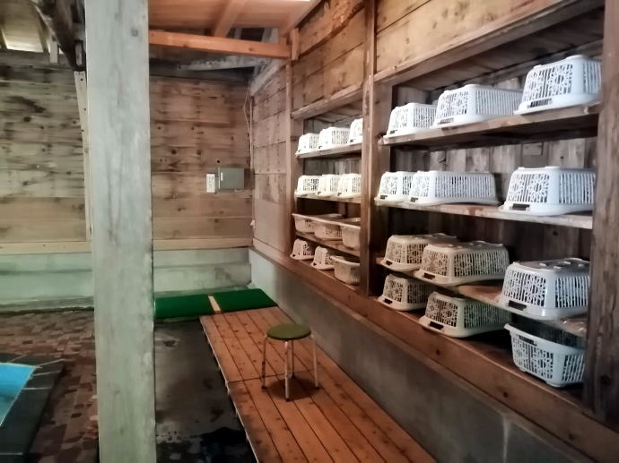 甲子温泉　旅館大黒屋【温泉奉行所】