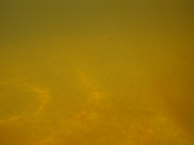 ���킾����@���|�[�[�y�����s���z