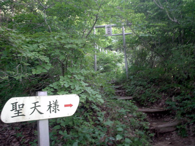 �쌴������@���V�l�I�V���C�y�����s���z