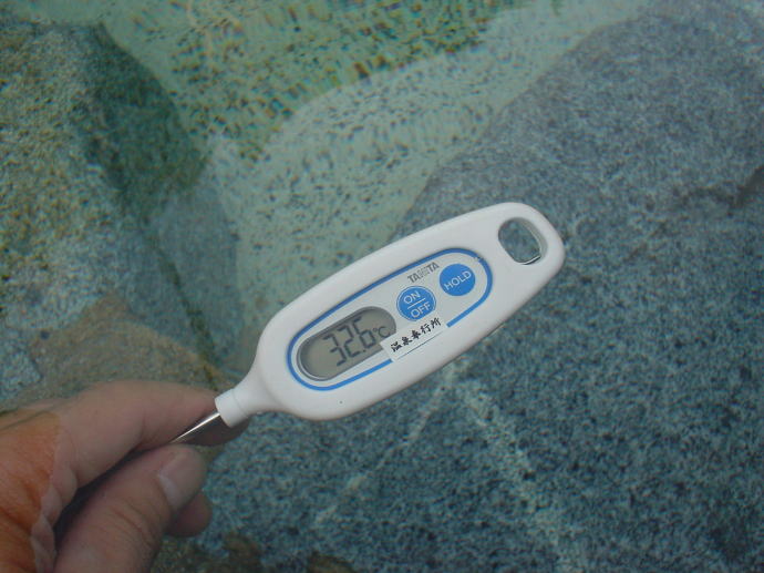 ���X����@���X�쉀�I�V���C�y�����s���z