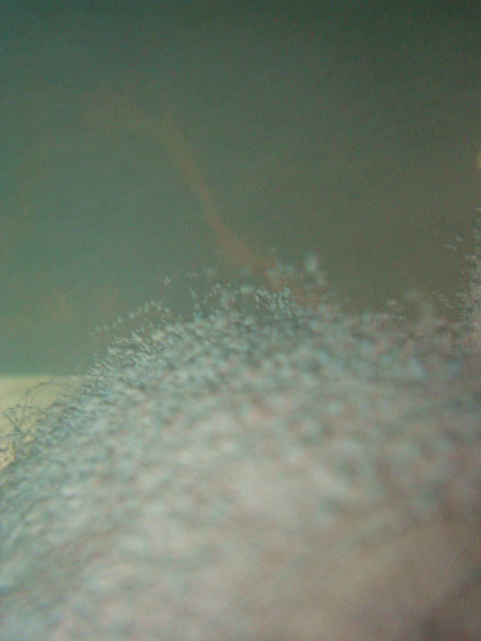 �����ӂ����܉���@��{�؂̓��y�����s���z