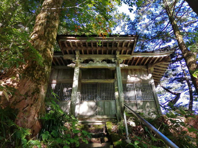 �k����@�k���򗷊فy�����s���z