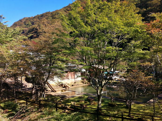 �k����@�k���򗷊فy�����s���z