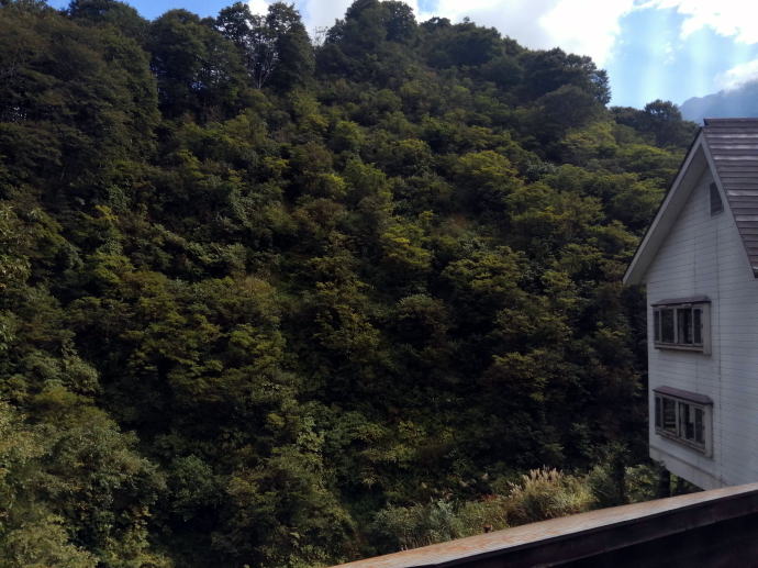 駒の湯温泉　駒の湯山荘【温泉奉行所】