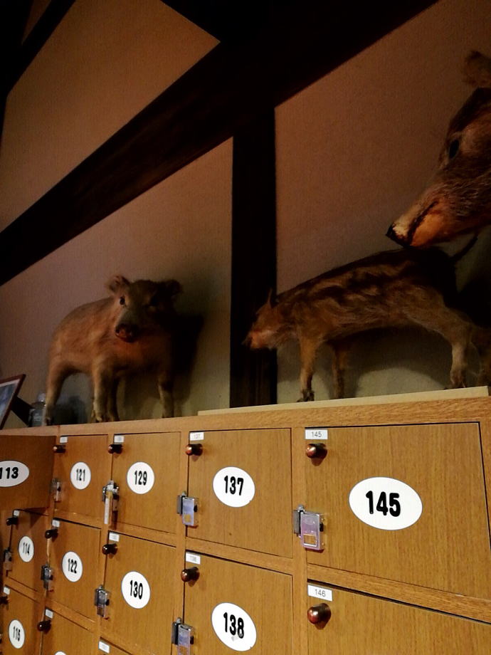 ���񂾖�t����y�����s���z