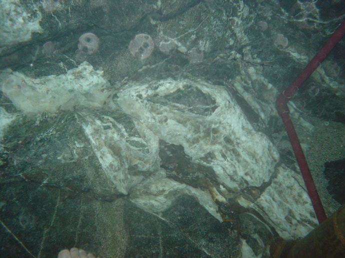 �^�ꉷ��@�^�ꉷ��فy�����s���z