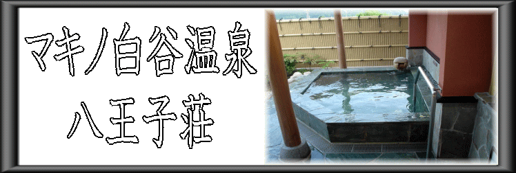 ���ꌧ�@�}�L�m���J����@�����q���y�����s���z