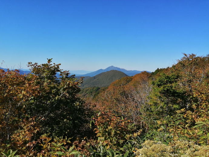 幕川温泉　水戸屋旅館【温泉奉行所】