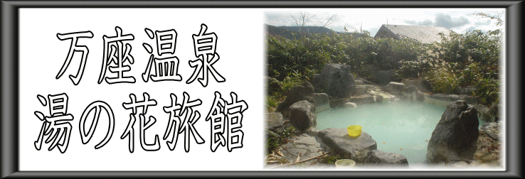 ��������@���̉ԗ��فy�����s���z