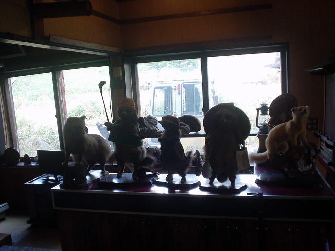 ��������@���̉ԗ��فy�����s���z