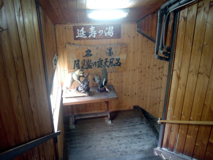 ��������@���̉ԗ��فy�����s���z