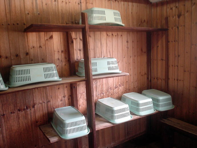 ��������@���̉ԗ��فy�����s���z