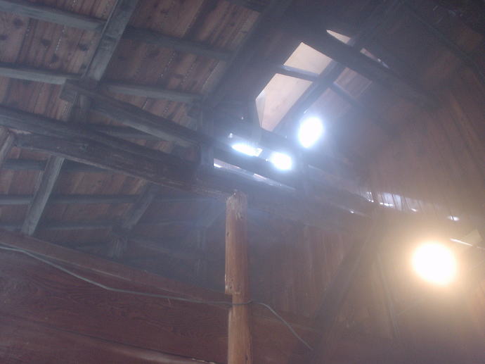 ��������@���̉ԗ��فy�����s���z