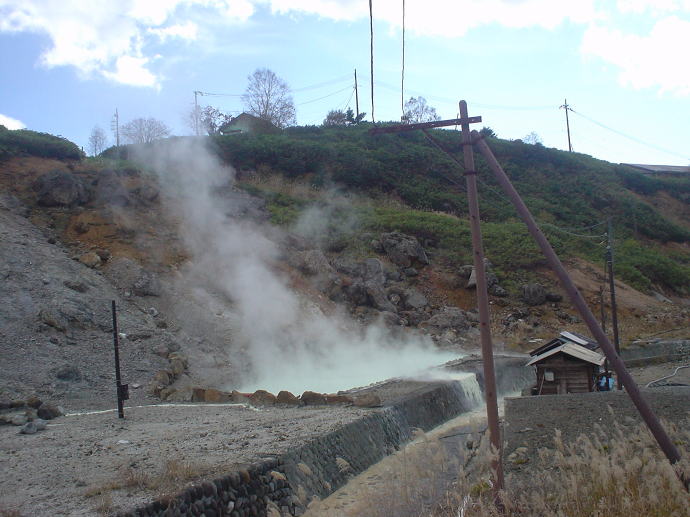 ��������@���̉ԗ��فy�����s���z