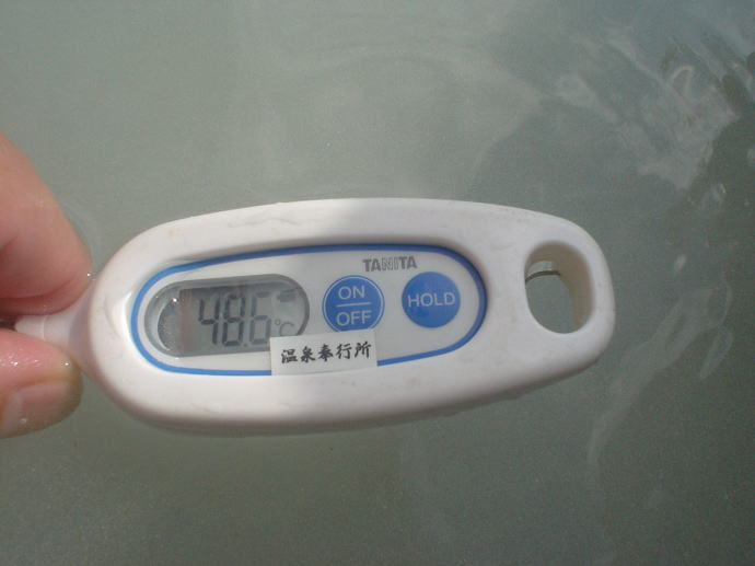 ��������@���̉ԗ��فy�����s���z