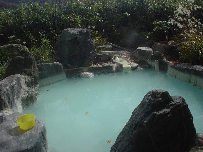 ��������@���̉ԗ��فy�����s���z