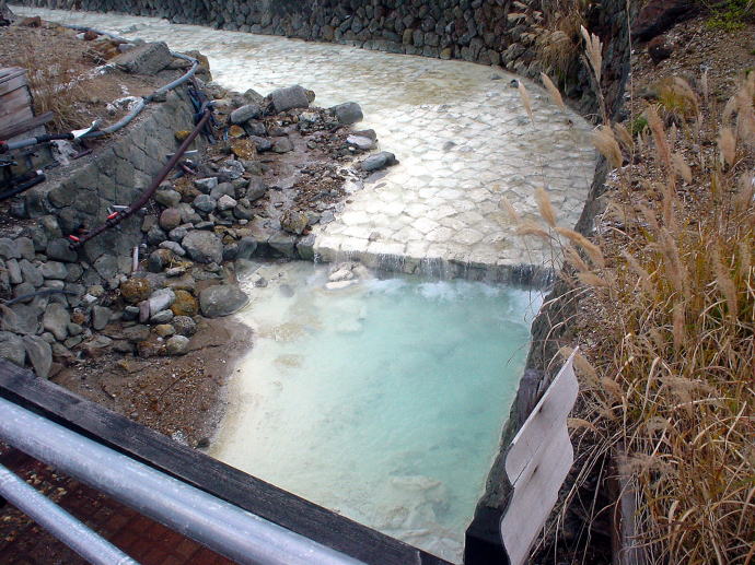 ��������@���̉ԗ��فy�����s���z