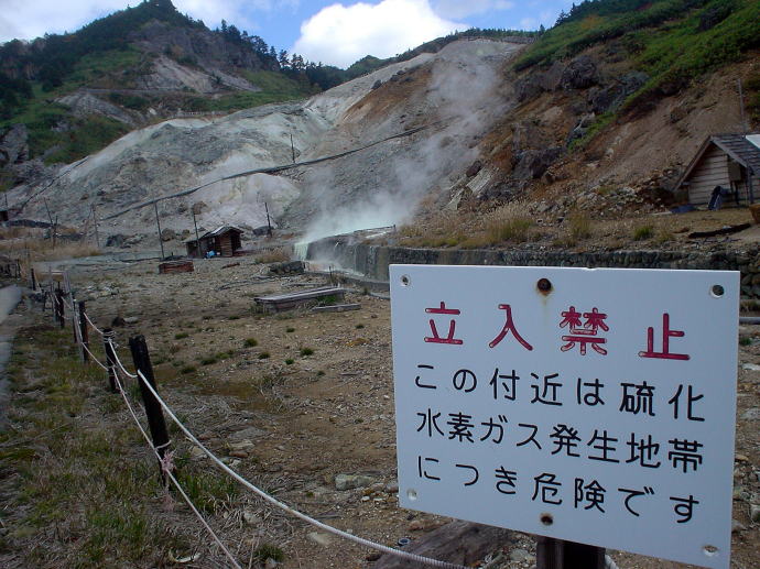 ��������@���̉ԗ��فy�����s���z