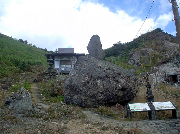 ��������@���̉ԗ��فy�����s���z