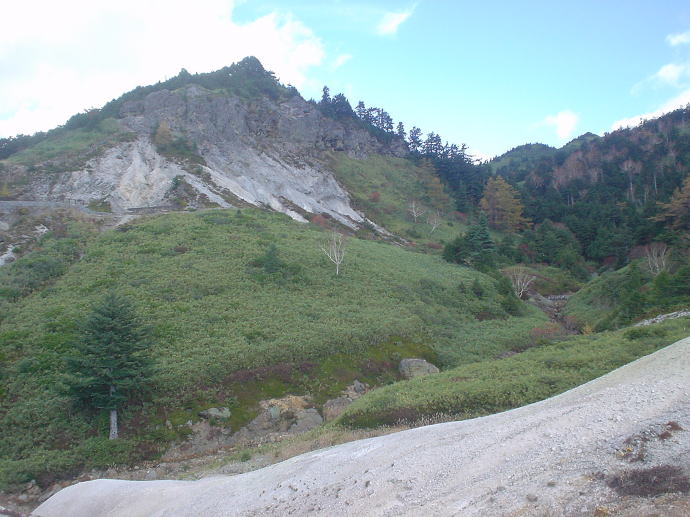 ��������@���̉ԗ��فy�����s���z