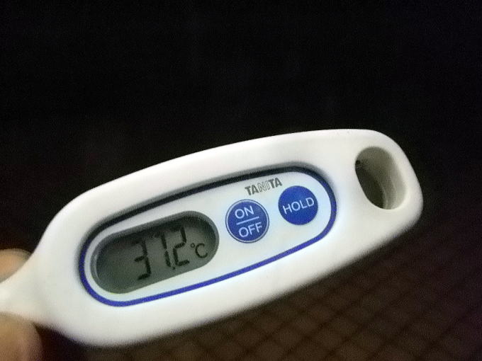 �۔����u����y�����s���z