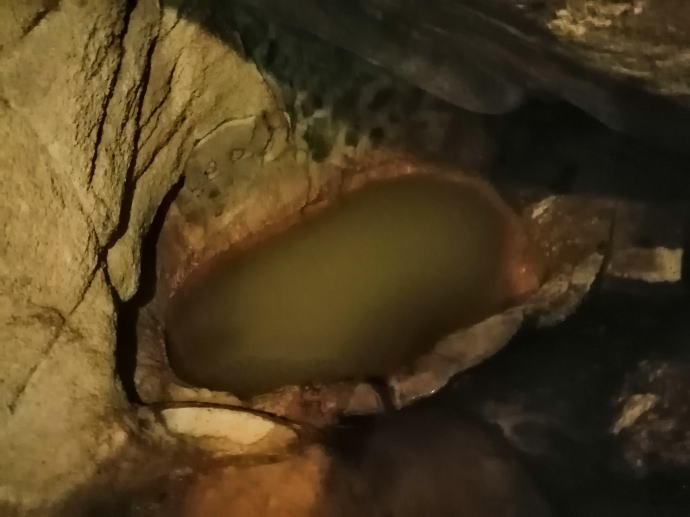 ���x���W�E������@�s�V�t�y�����s���z