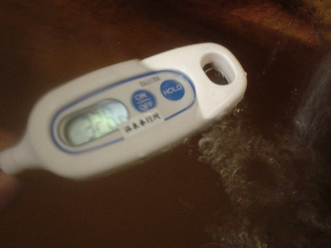 ���x���W�E������@�s�V�t�y�����s���z