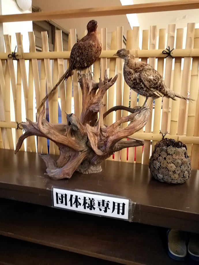 増冨ラジウム温泉　増富の湯【温泉奉行所】