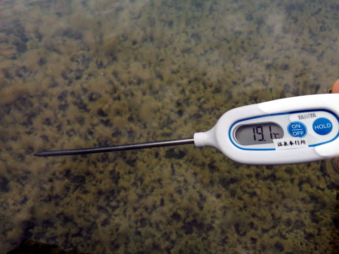 �쐢�p�O�ꉷ��y�����s���z