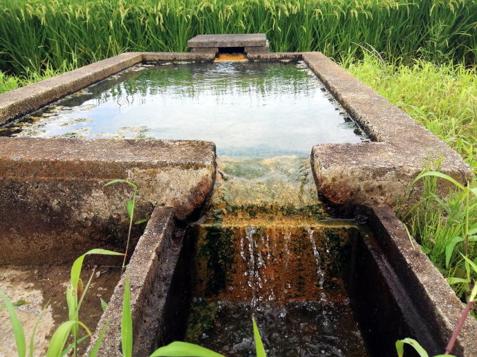 �쐢�p�O�ꉷ��y�����s���z