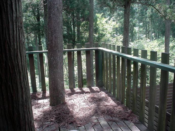 ���R�X�щ���@�݂炭����y�����s���z