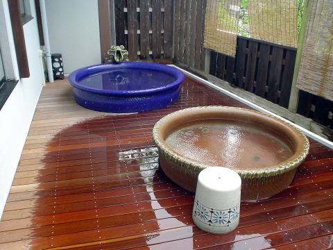 �{�T����@�b��E�т̏h�y�����s���z