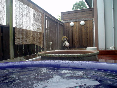 �{�T����@�b��E�т̏h�y�����s���z