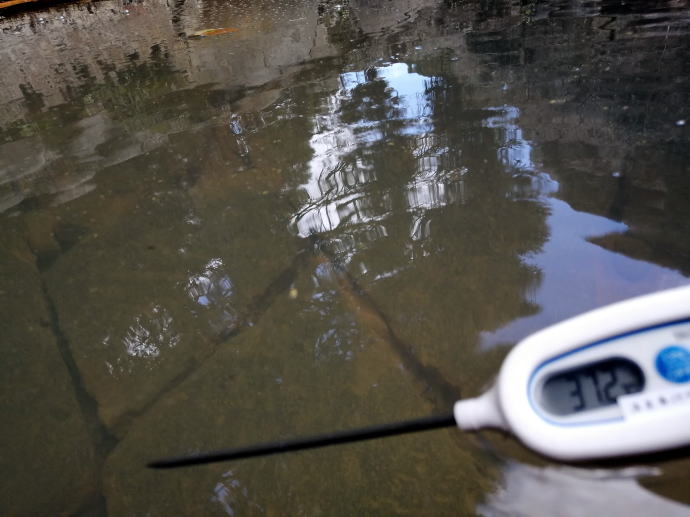 妙見温泉　和気湯【温泉奉行所】