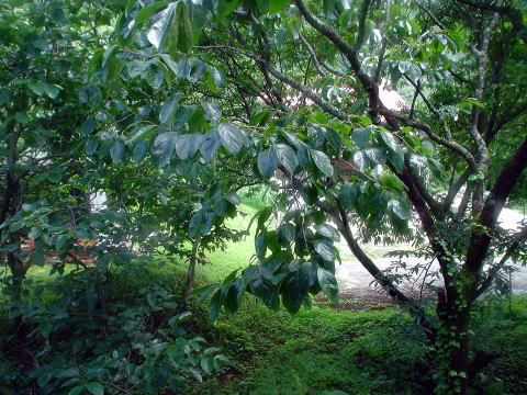 ���쌧�@��ؑ]����@����炬����