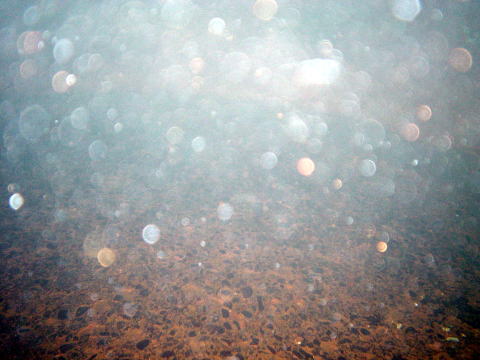 �k�C���@�������傤����y�����s���z