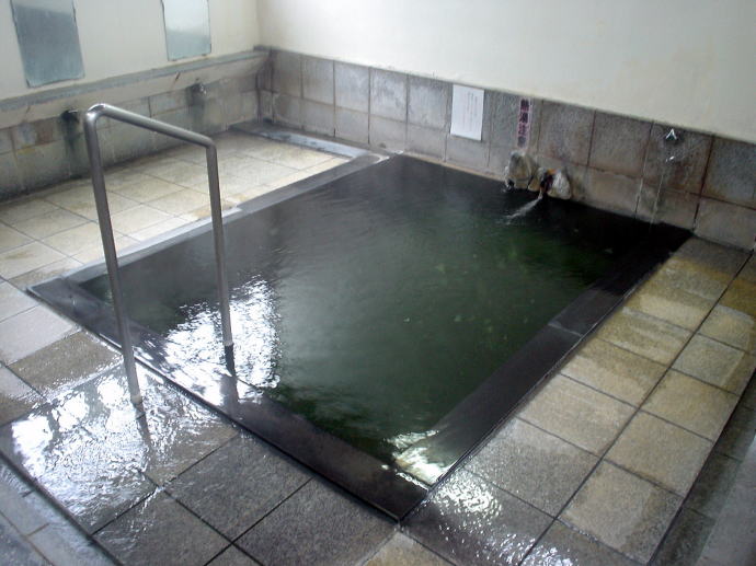 野沢温泉　河原湯【温泉奉行所】