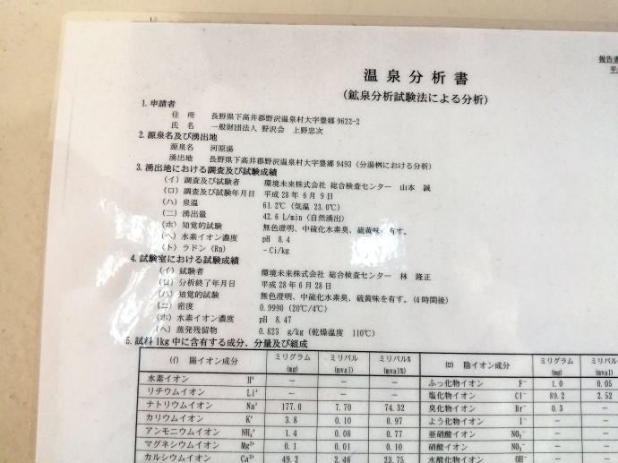野沢温泉　河原湯【温泉奉行所】