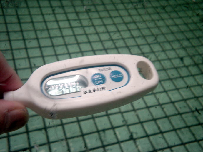 野沢温泉　滝の湯【温泉奉行所】