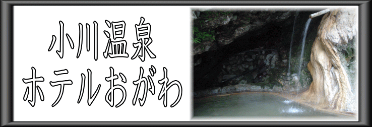 小川温泉　ホテルおがわ【温泉奉行所】