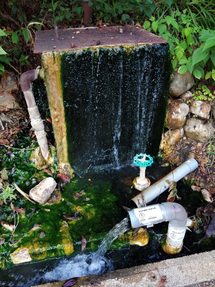 小川温泉　ホテルおがわ【温泉奉行所】