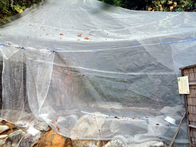 小川温泉　ホテルおがわ【温泉奉行所】