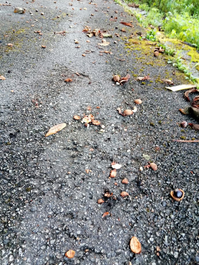 小川温泉　ホテルおがわ【温泉奉行所】