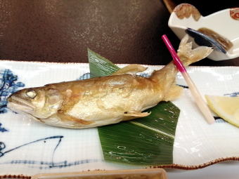 小川温泉　ホテルおがわ【温泉奉行所】