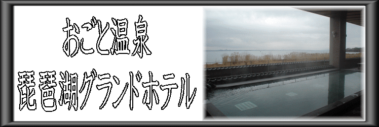 �����Ɖ���@���i�΃O�����h�z�e���y�����s���z